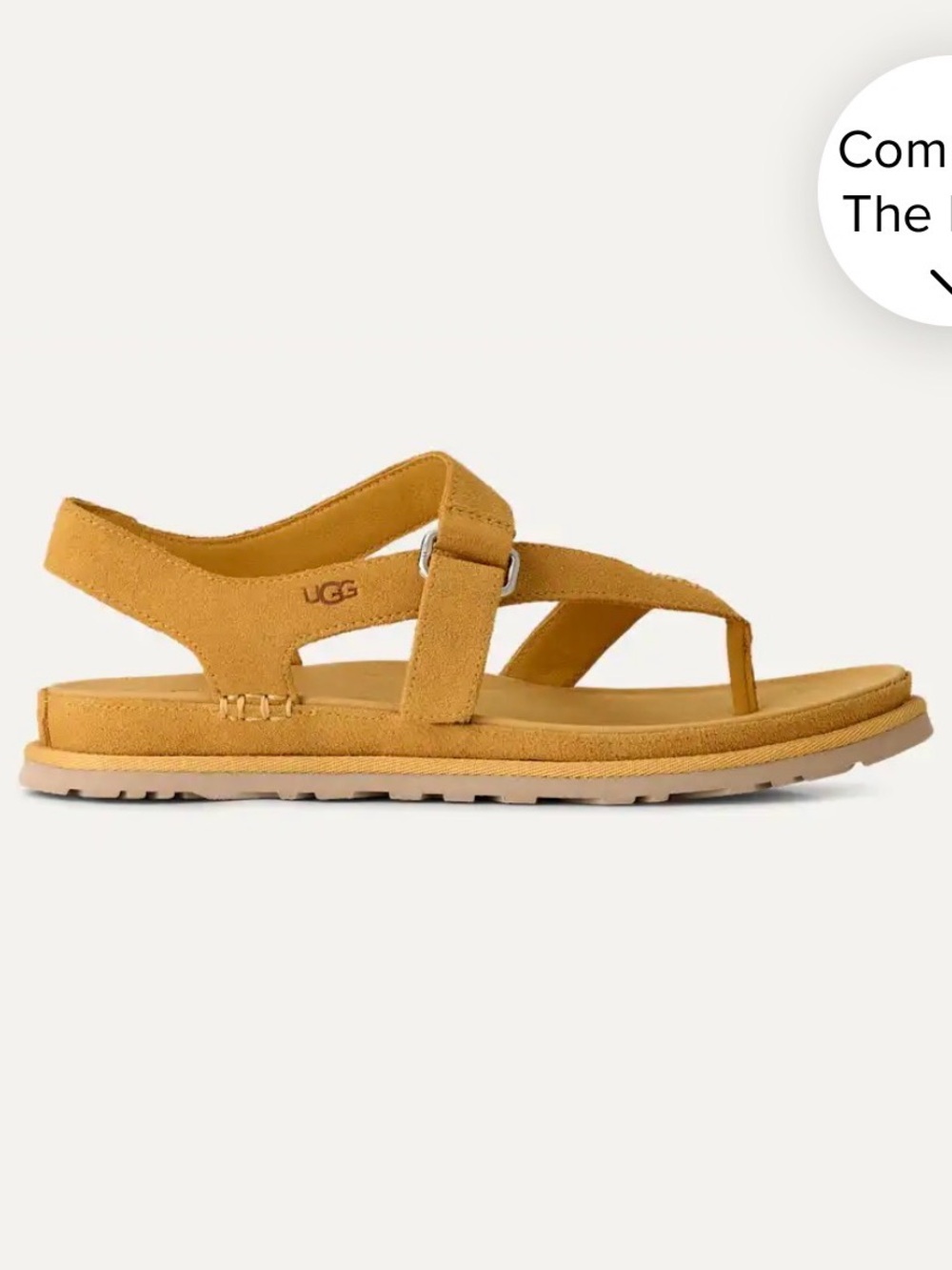 NWOT Ugg Goldengaze suede toe post Wheat Field tan ankle strap sandals 8.5 - Picture 2 of 9